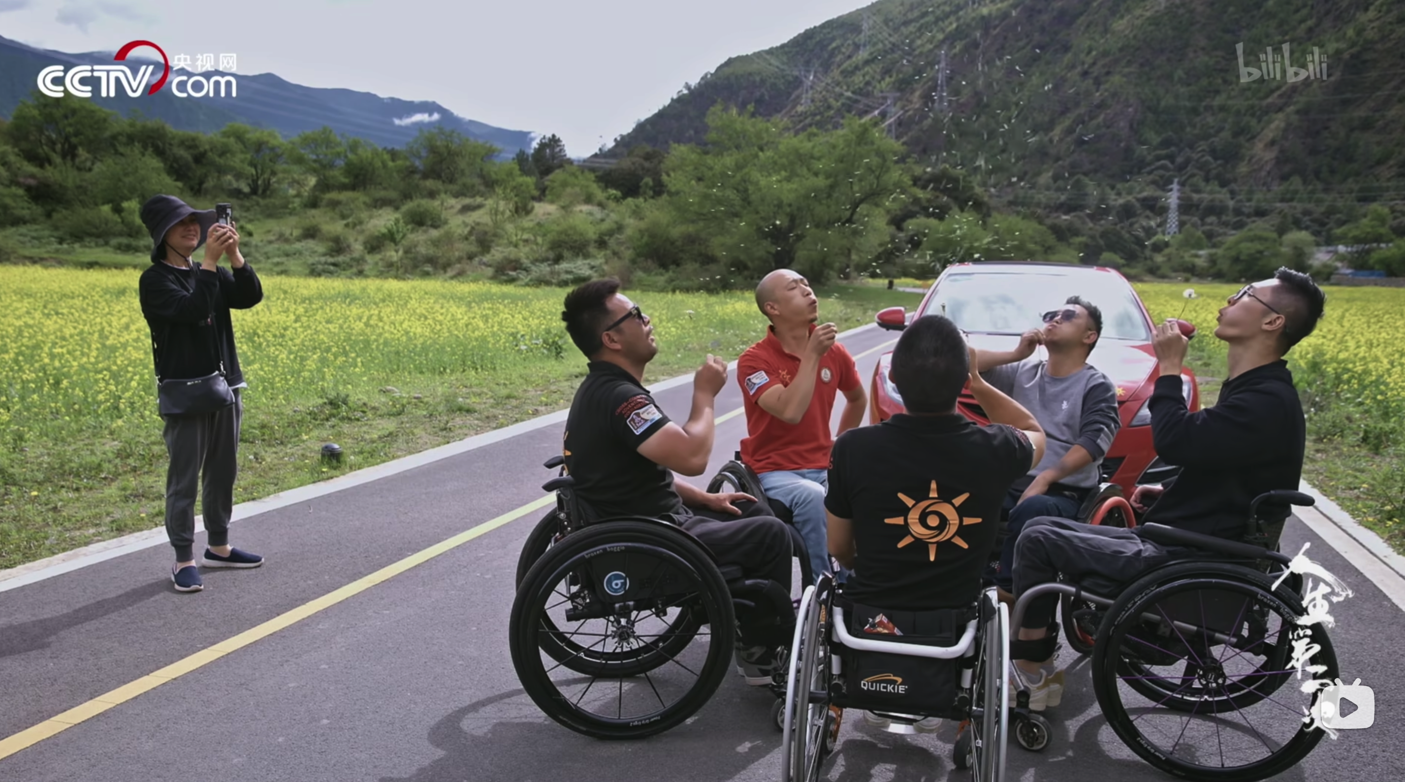 Card6 我会采更多的雏菊