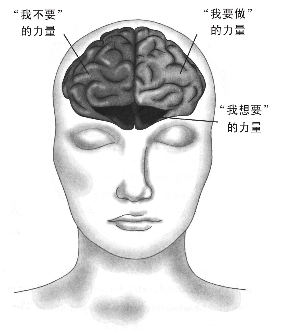 Card100 我要做,我不要,我想要:5分钟冥想训练大脑,增强意志力