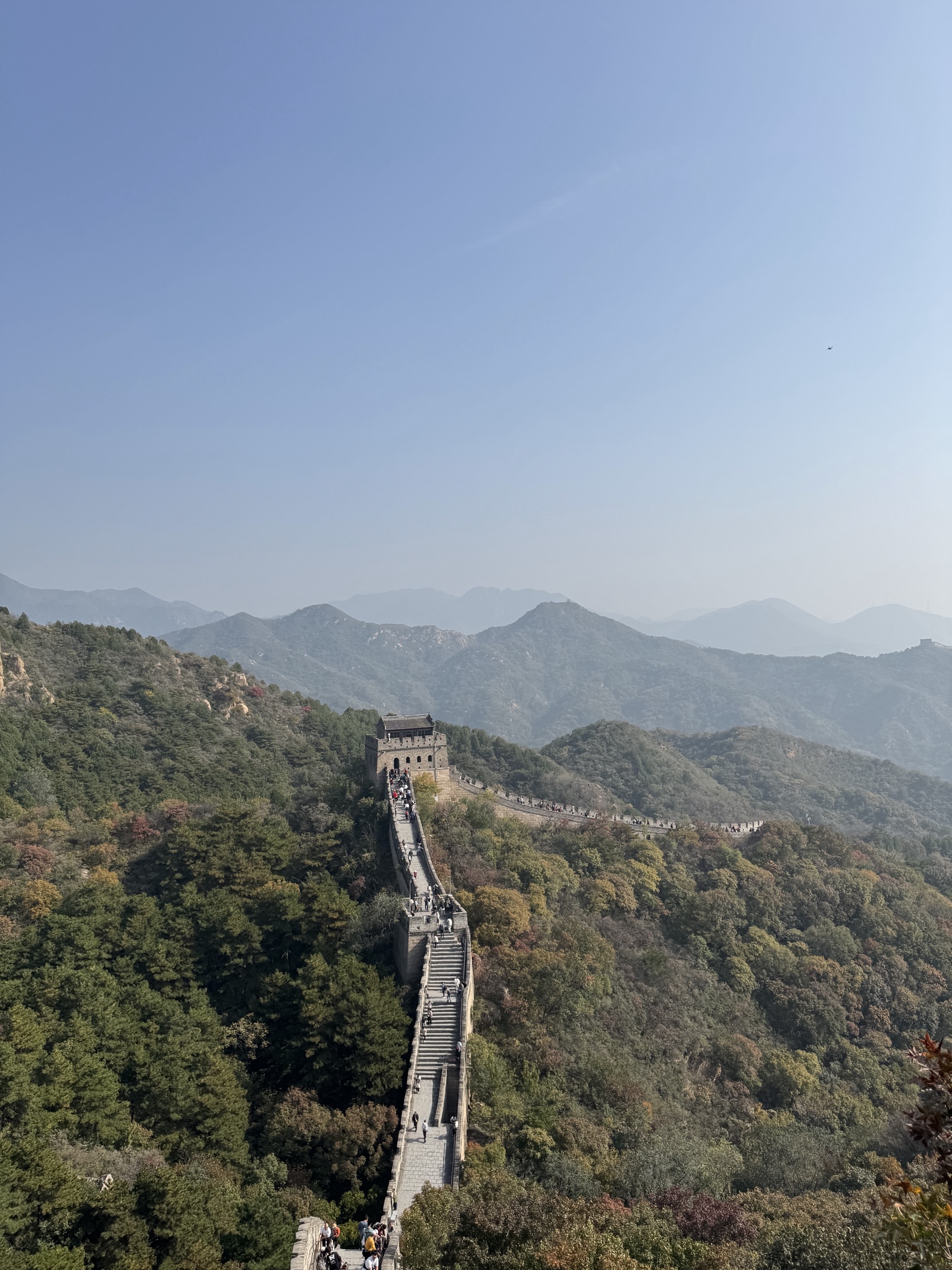 学习面对父母的老去
