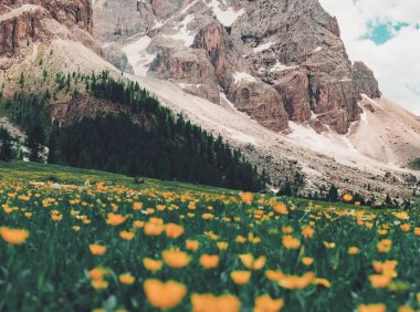 奇迹清晨·早起成长社群