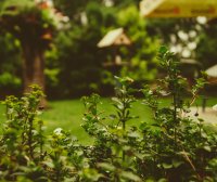 Card22 设计你的财富与幸福蓝图