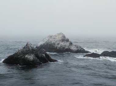 Card59 具体的力量:设定的目标越具体,做到的概率就越高