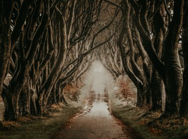 Card64 如何克服过度敏感的心理,实现自我成长?