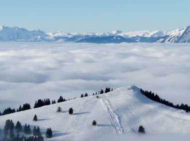 Card58 被理解的力量:让对方感觉到“你懂我”