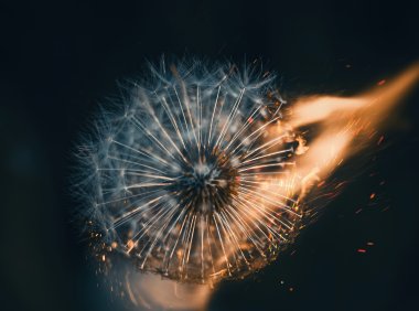 Card61 如何获得清明智慧:从静坐冥想开始,看到自我与世界的真相