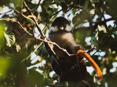 Card75 放弃过剩的责任感:无论你做到什么程度,都是一个有价值的人