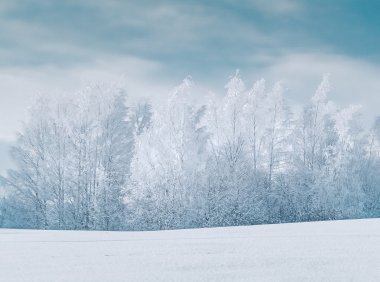 Card92 改善自信的4个工具:详细记录准备工作并标记你所取得的成就