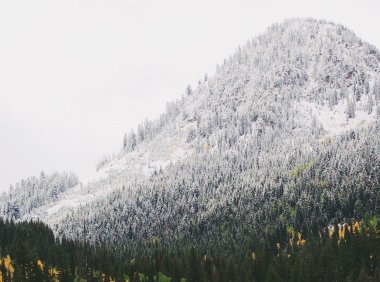 Card79 冒名顶替者综合征:自我怀疑是不断打碎自己的根源