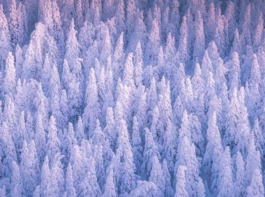 Card69 你不必什么都知道,4个步骤驯服你的“建议怪兽”