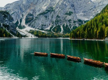 Card90 嫁一个好人!金钱并非婚姻的“特效药”