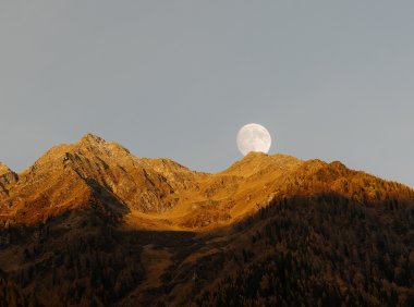 Card72 活出真实的接纳:如何发自内心相信自我的价值