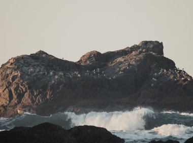 Card70 闲聊的力量:闲聊比你想得更重要,也比你想得更好