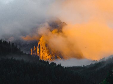 Card81 放下全能自恋:修炼包容心的关键是不把自己当做世界的中心