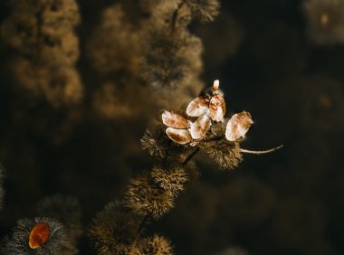 Card83 走出童年情绪记忆:管理情绪闪回的13个实用步骤