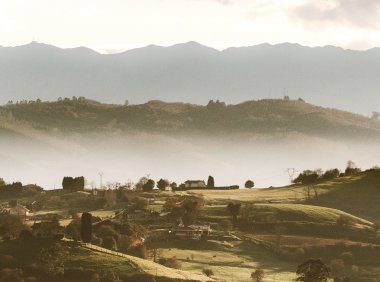 Card84 击退内在批判:应对14种常见内在批判者的攻击