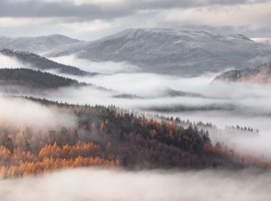 Card73 度过情绪的雨天:恢复情绪平衡的6个步骤