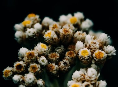 Card68 数字肢体语言:线上高效沟通的实践清单