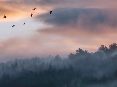 Card76 学会宽恕:原谅他人的过错,不等于遗忘和纵容