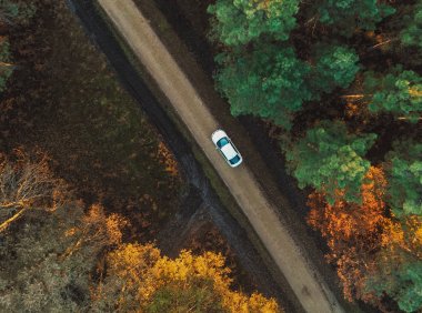 Card91 优势档案:了解你的核心品质现状和提升方向