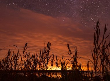 Card82 完整的人:我们都住在一座四层公寓中