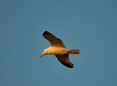 Card80 不找借口:摆脱内在的逃避和弯弯绕绕,在行动中拿到结果