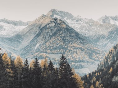 Card114 如何处理一触即发的愤怒情绪