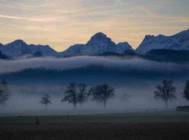Card118 五天简单休息法:消除大脑疲劳,让身心获得真正的休息