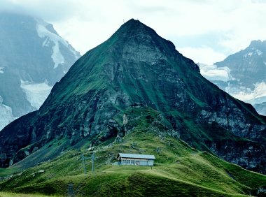 Card119 新年能量焕新:正念是疗愈的良药