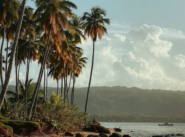 Card121 感恩练习:摆脱贫穷心态的不二法门