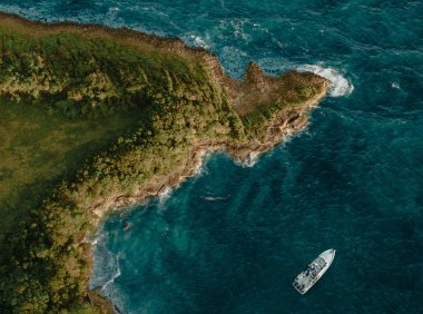 Card115 学会暂停:勇于做那个在情绪风暴中按下暂停键的人