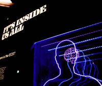 深度学习力（六）：我们赖以生存的记忆