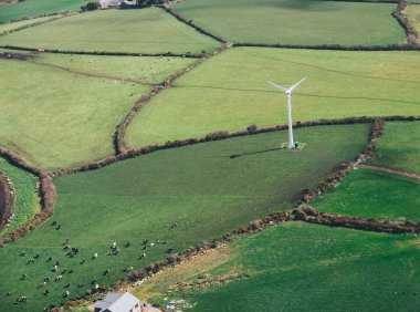 《经验的疆界》:别做跳上热炉的猫