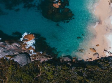 Card145 你的内在节律:云雀、猫头鹰和第三种鸟