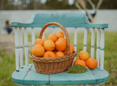 31岁生日：拥抱恐惧，臣服当下，长期有耐心