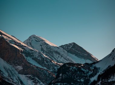 Card141 对分心说“不”