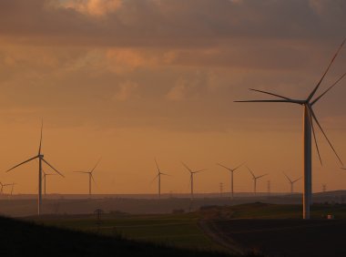 Card143 成为自我的观察者:解放自己、做出真实理性的选择