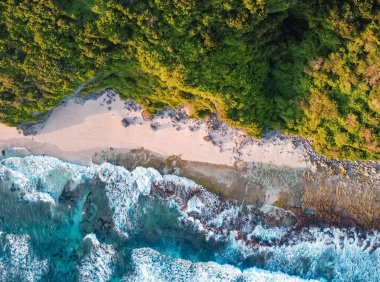 Card135 如何像专家一样思考和解决问题?