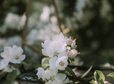 Card183 高效领导,发挥潜能——不可不问的关键问题