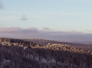 Card180 构建“学习成功金字塔”