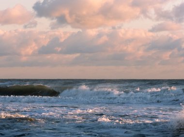 Card172 边缘型人格障碍患者亲属的十项准则