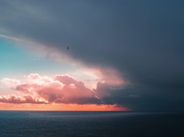 Card161 内化积极体验四步曲