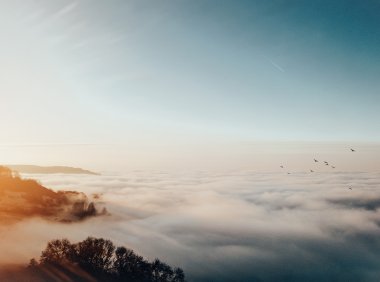 Card162 投资的逻辑