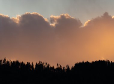 Card166 Vol.166是什么消解了自律