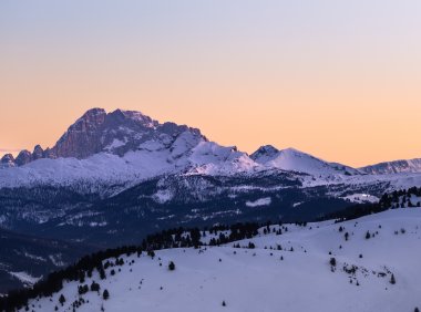 Card165 如何在冒险进入不熟悉的环境时做出合理决策