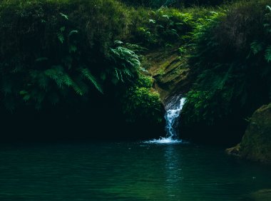 Card167 学会安慰他人