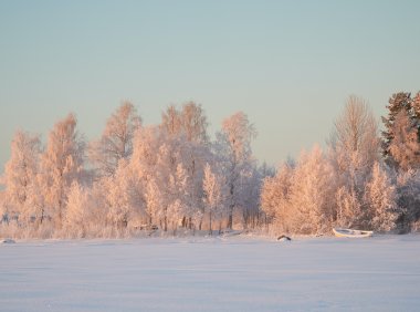 Card177 情绪“打结”了,怎么办?