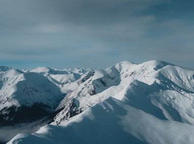 Card157 成为更好自己的七个原则