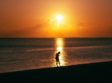 Card170 间隔重复:用高频分散的学习频次形成长期记忆