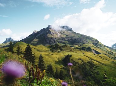 Card175 在困顿中体验快乐