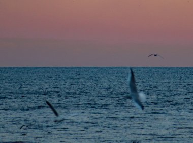 Card190 丰富生活中互相联结的行动清单